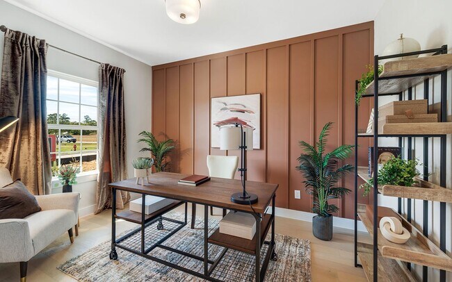 Study • Concho Model