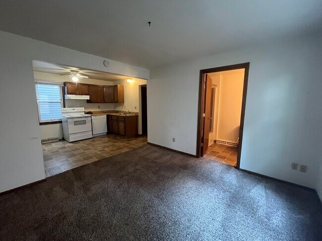 411 W Doty St unit 1, Madison, WI 53703 - photo 3