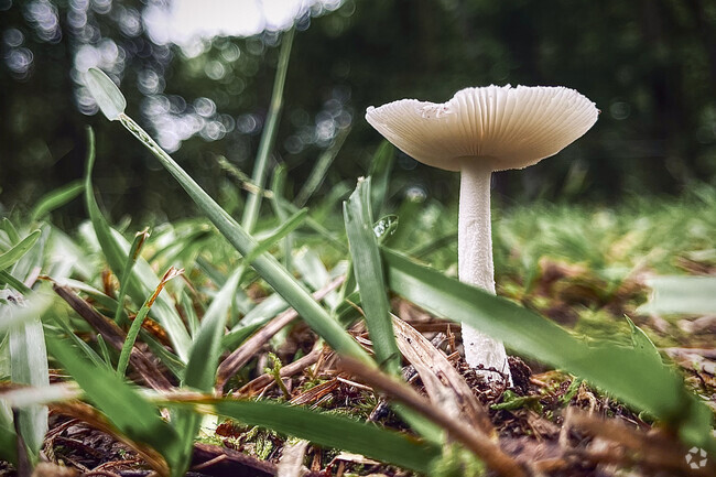 Residents of Cleveland enjoy a clear and consistent connection to the nature surrounding them.