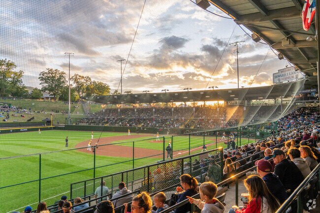 Fans enjoy a beautiful sunset as teams compete in the Little League World Series.