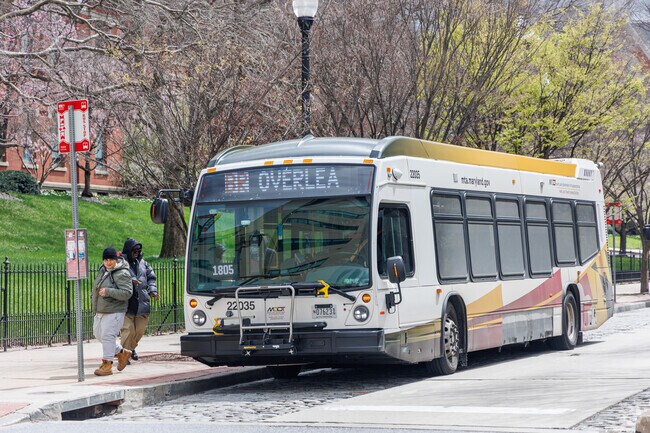 There are plenty of bus stops in the Middle East neighborhood.