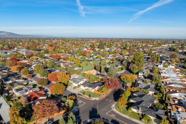 Overview of Paynes's neighborhood of San Jose, CA.