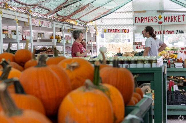 Shoppers browse the farmers market at Westgate Plaza in Loveland.