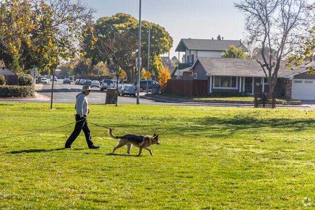 Crandall Creek Park is perfect for dog lovers in Cabrillo.