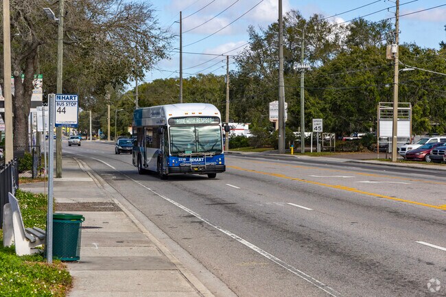 The HART line runs all through Lake Magdalene.
