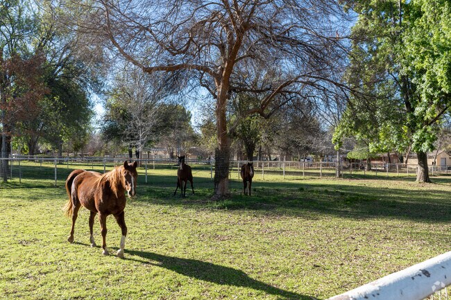 You can find equestrian life in some parts of Arlington Heights.