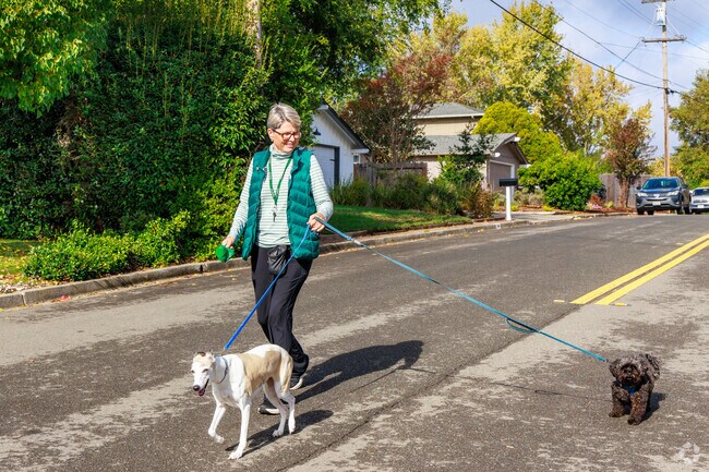 Ivy Drive's walkable charm makes every day a good day for dogs and their people.