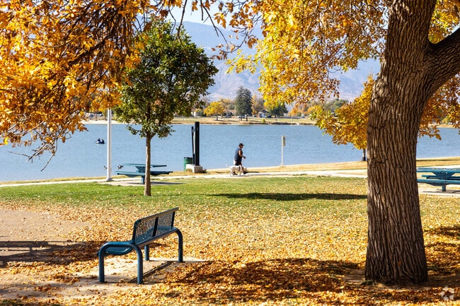 Take your best friend for a walk in Memorial Park, it's near the Westside neighborhood.