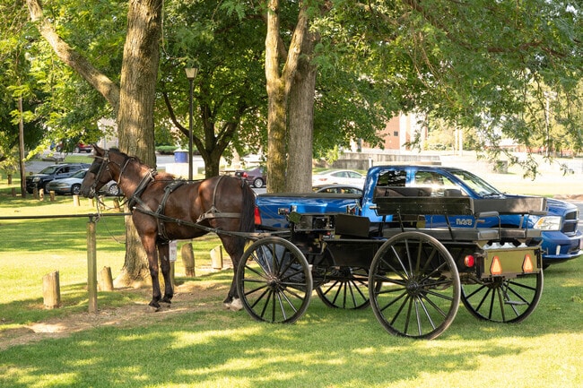 You're bound to see a horse and buggy in Rothsville because it's in Lancaster County.