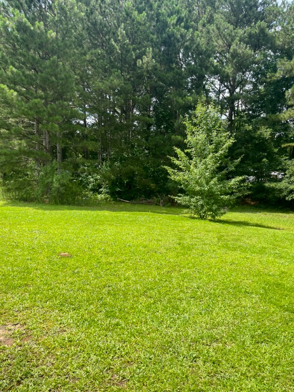 108 Jay Ln unit B, Hampton, GA 30228 - photo 6