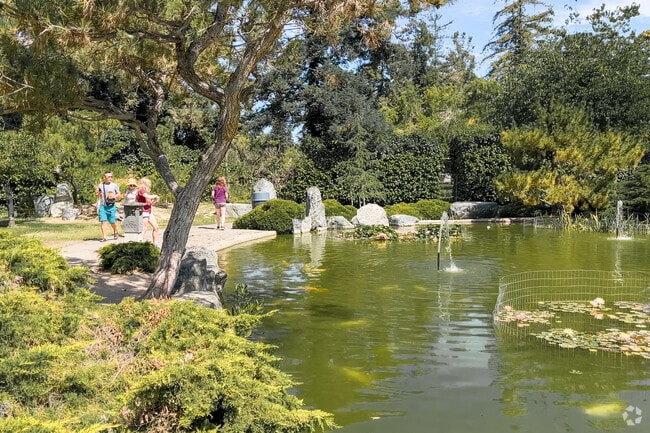 Tranquility awaits at the fountain pond in Yerba Buena's Japanese Friendship Garden.