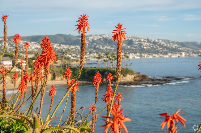 North Laguna's coastline has secluded coves of sandy bays separated by rocky cliffs capped with lush vegetation and colorful wildflowers.