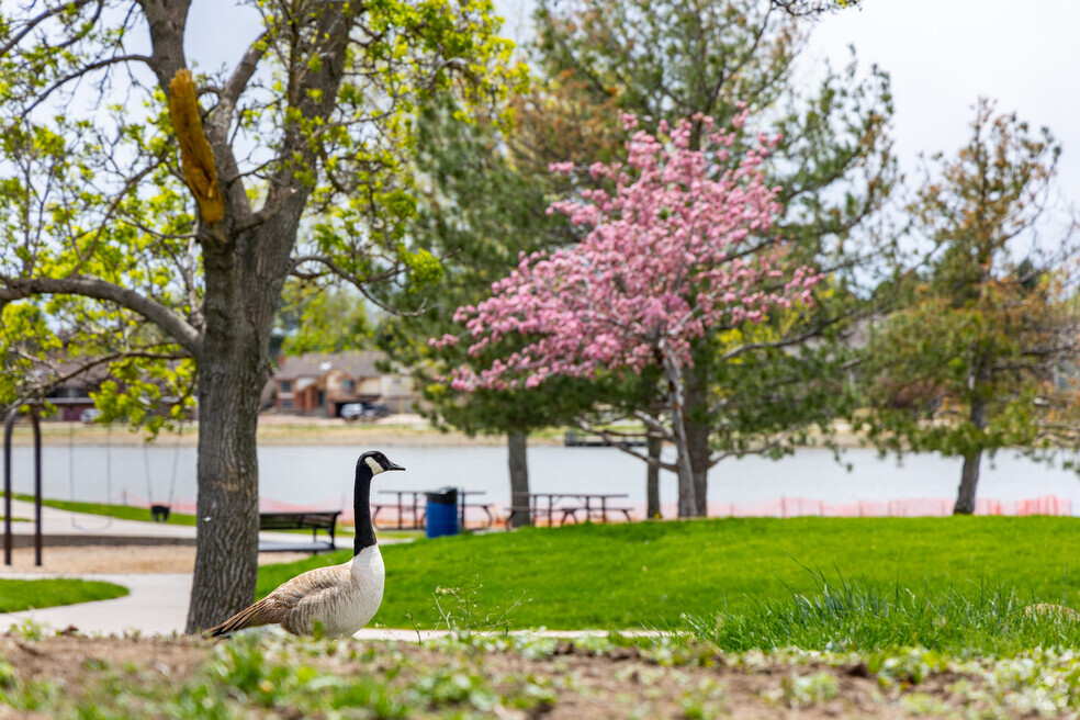 NH_Far_Horizons_Arvada_CO_543034_P02_2024-06-16_V01