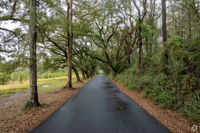 Stroll Covington’s tree-lined streets for scenic southern beauty.