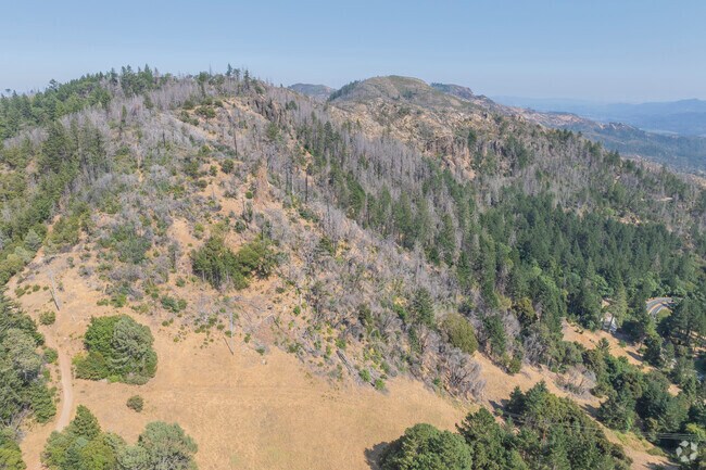 The hills surrounding Calistoga still bear the scars from major forest fires that have hit the area.