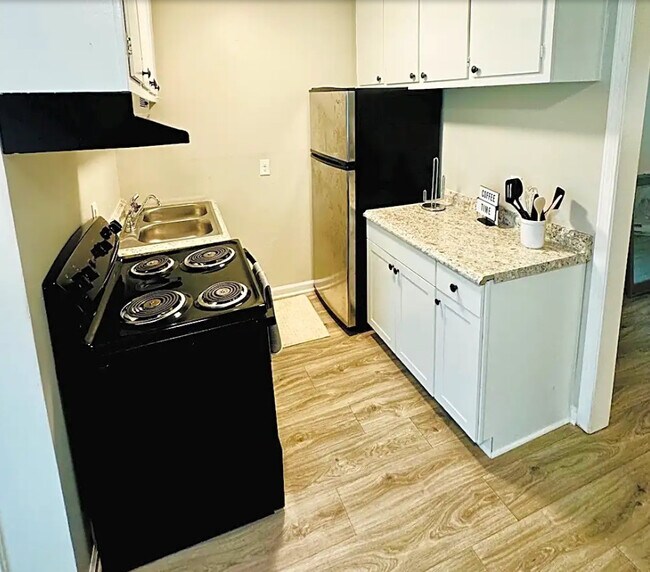 The Vue at Greensboro, Greensboro, NC 27405 - photo 5