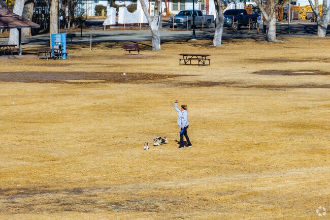 Play fetch with your dog on the large field at Cole Park in Alamosa.