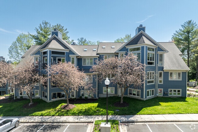 Apartments and condos are available in Dorsey's Search.