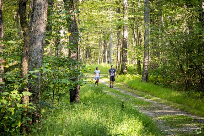 Westwood residents can get out into the mountains and nature at the nearby Laurel Highlands.