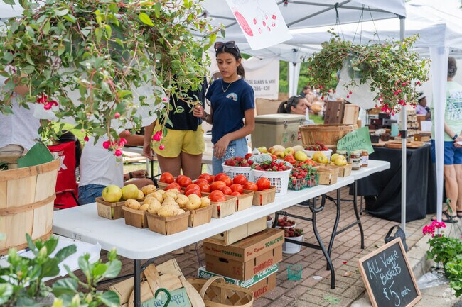 Smyrna Jonquil Festival is a community celebration with music, vendors, artists, and food.