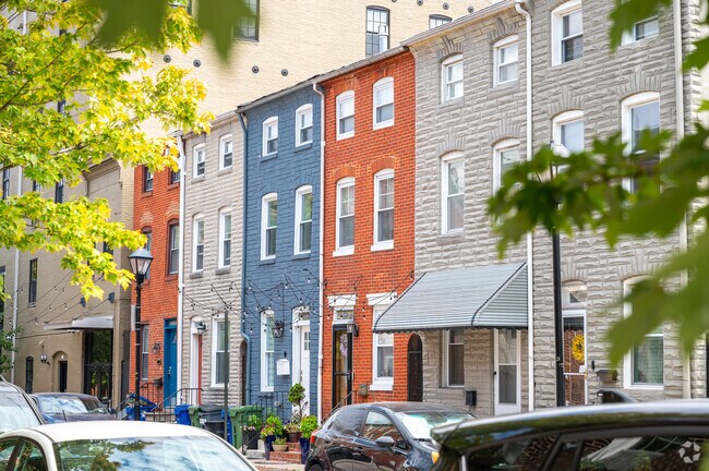 There are many trees that give shade in Little Italy.