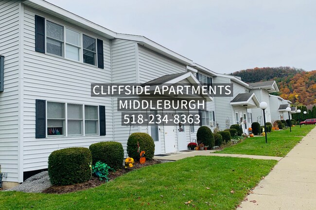 129 Mt Path unit 26, Middleburgh, NY 12122 - photo 2