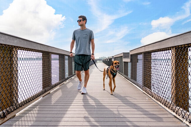 The Osprey Fishing Pier allows the public direct access to the intracoastal.