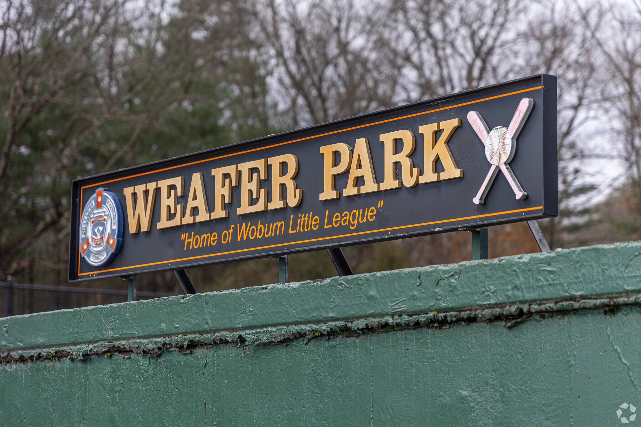 About Walnut Hill Schools, Demographics, Things to Do