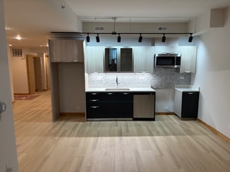 4601 S Ellis Ave Unit B1, Chicago, IL 60653