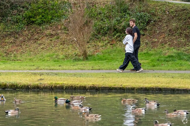 Residents of Coos Bay enjoy walks in Mingus Park which has ponds, bamboo forests and many more activities.