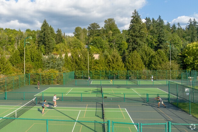 Bear Creek’s Perrigo Park features public tennis courts nestled among tall trees.