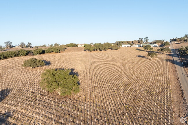 There are many wineries around Santa Maria.