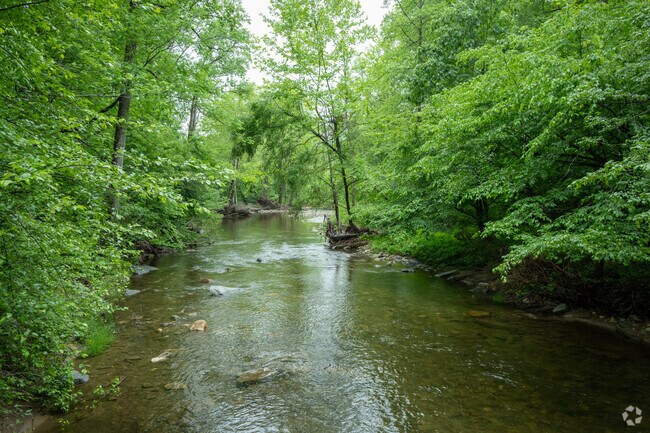 The Mills River flows through the Pisgah National Forest.
