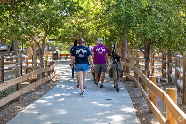 Look at the animals in the Pueblo City Zoo, not too far from Lake Minnequa.