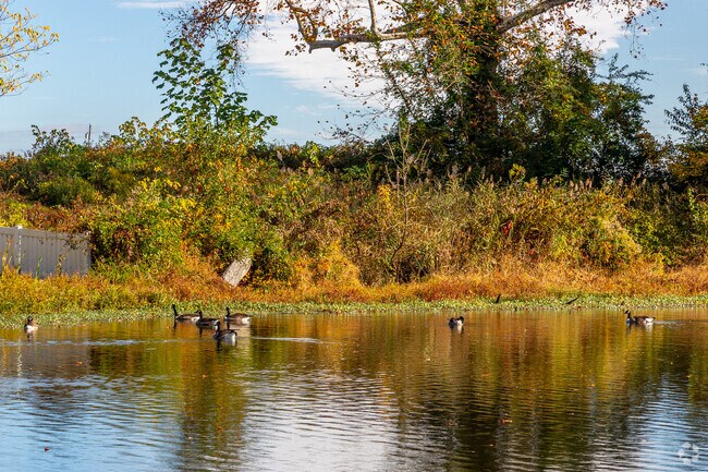 Take in the wildlife on Harrisonville Lake in South Harrison Township.