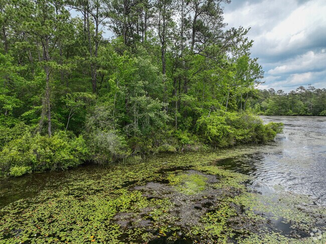 Lilypad shoreline at Sesquicentennial State Park.