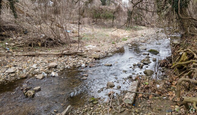 Maiden Choice Run Creek