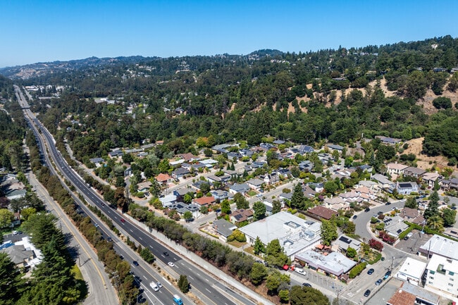 Windy roads and nature make up the vibe of Piedmont Pines in the Oakland hills.
