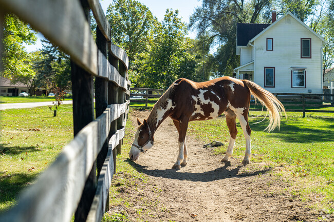 Wayne Equestrian Center has riding lessons near the Cranston Meadows Park area of St. Charles.