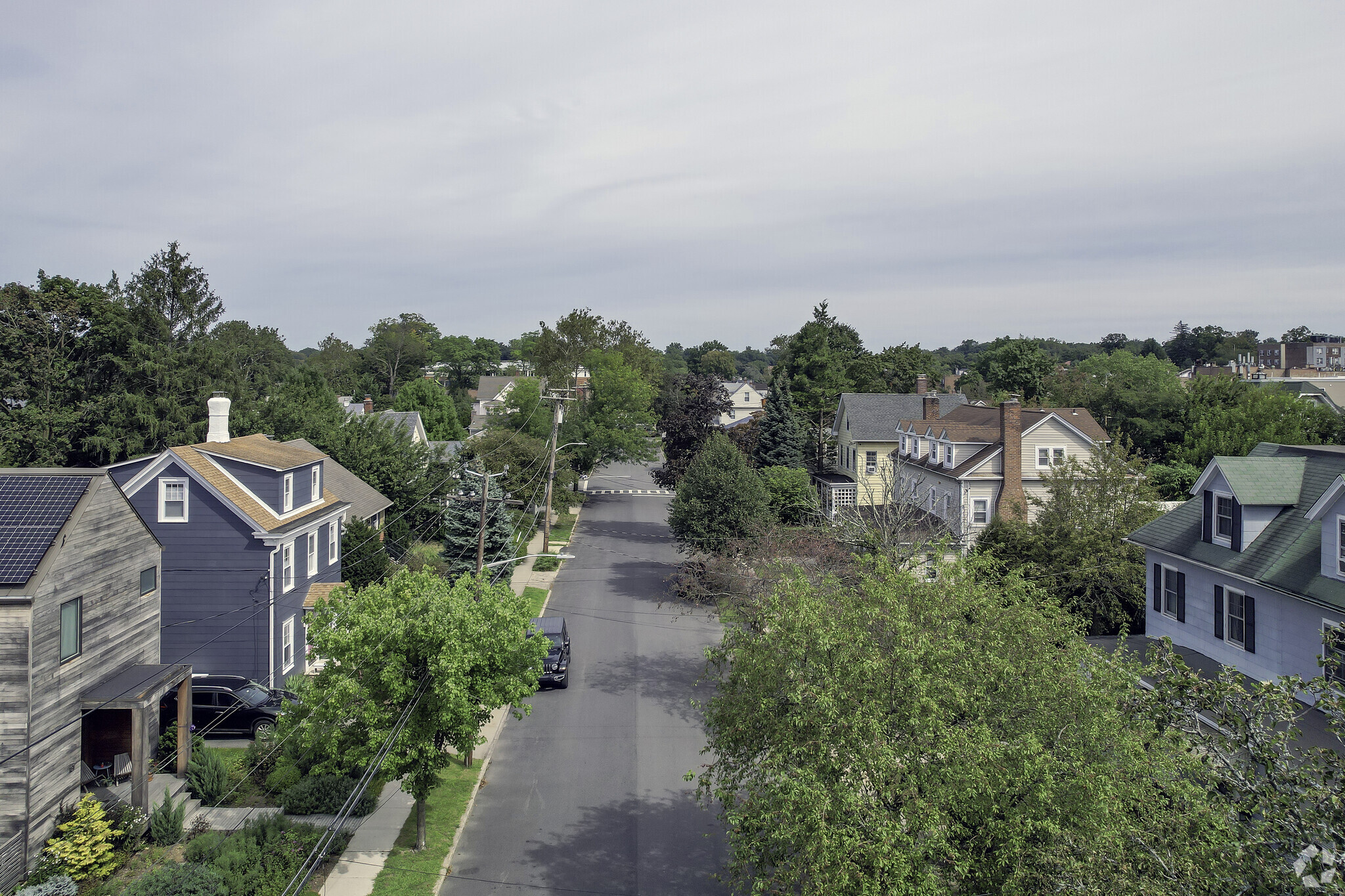 Green tree-lined with shading beautiful homes make up a lot of the Pelham community.