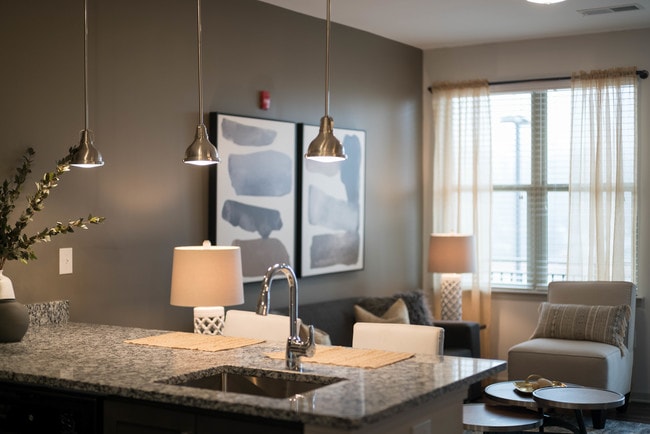 The Anderson, Rock Hill, SC 29730 - photo 3