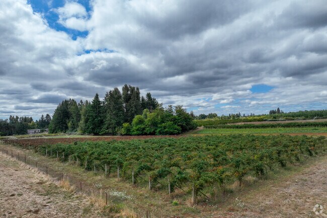 Vast berry fields flourish near Gaffney Lane, offering scenic views of Oregon's greenery.