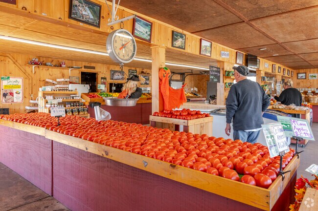 Botticello Farms has the freshest locally grown tomatoes.