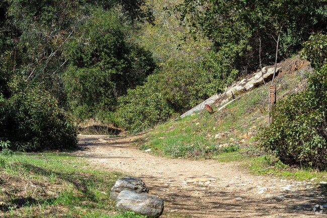 The Sycamore Canyon Trailhead in Claremont offers scenic hiking with stunning mountain views.