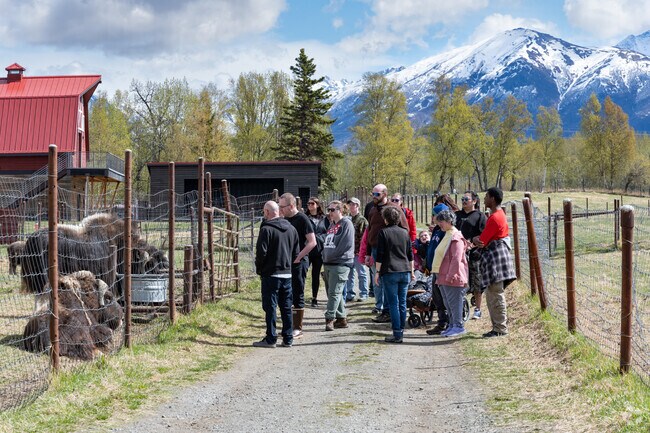 Fishhook's homesteading legacy remains at Musk Ox Farm, where tourists learn the region's past.