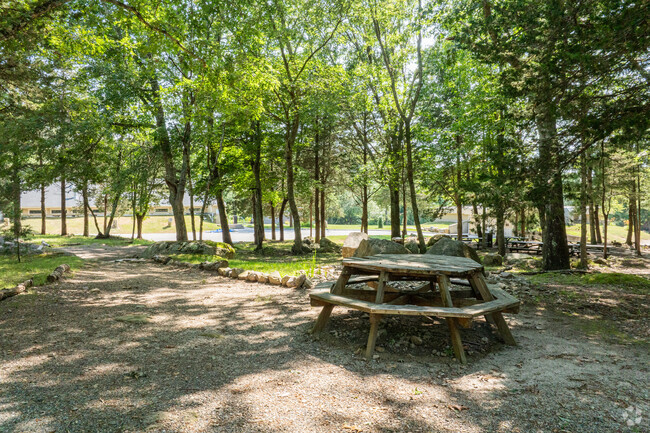 The Greene School sits on several acres of dense forest, perfect for a quiet getaway.