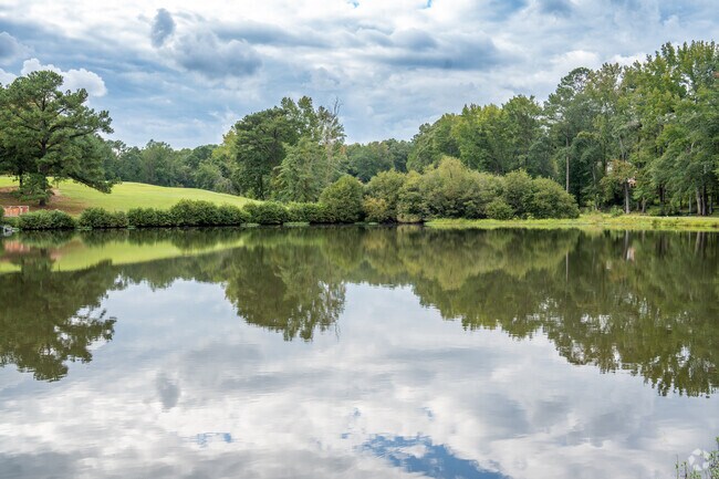 Find the beauty in the small ponds of Woodland Forrest.