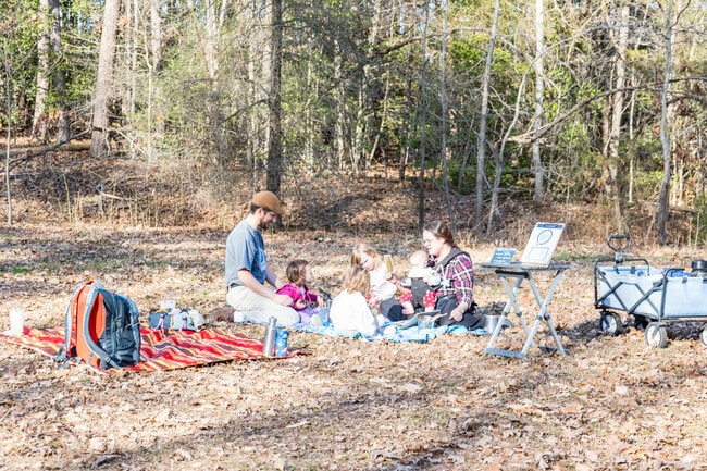 Enjoy a delightful picnic with loved ones at Rollingwood Park, Newington.