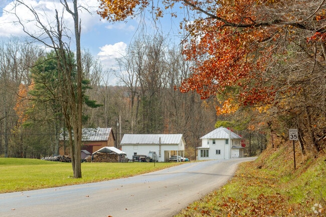 Rural homes along country roads in Pine Township offer privacy and scenic surroundings.