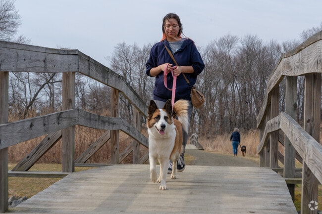The ample nature walks and green make Lawrence Township a perfect place for dogs.